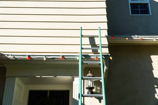 Best Stone Veneer Siding  in Meadowbrook, CA