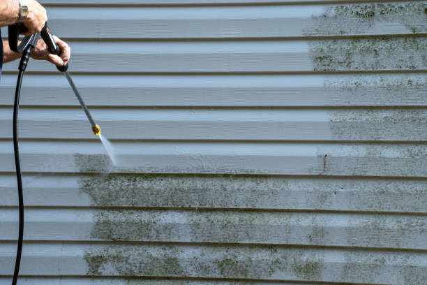 Best Siding Removal and Disposal  in Meadowbrook, CA