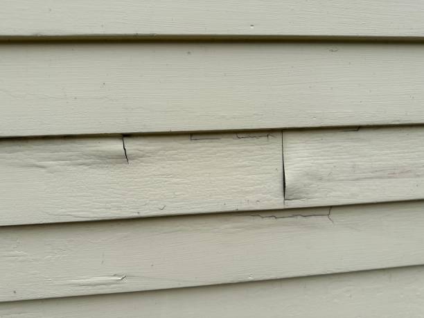 Best Insulated Siding Installation  in Meadowbrook, CA